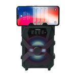 DIFUZOR PORTABIL PRODA PD-S500 negru